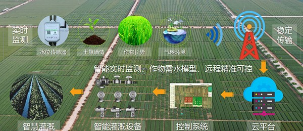托普云農(nóng)：以現(xiàn)代種業(yè)標(biāo)準(zhǔn)，助力制種大縣建設(shè)任...