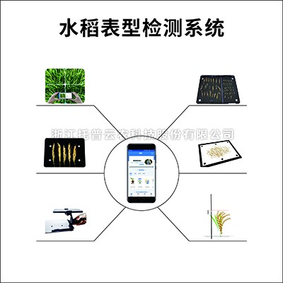 水稻表型檢測(cè)系統(tǒng)