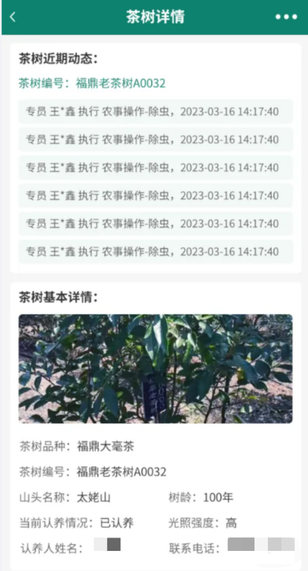 8認(rèn)養(yǎng)茶樹(shù)_副本.png