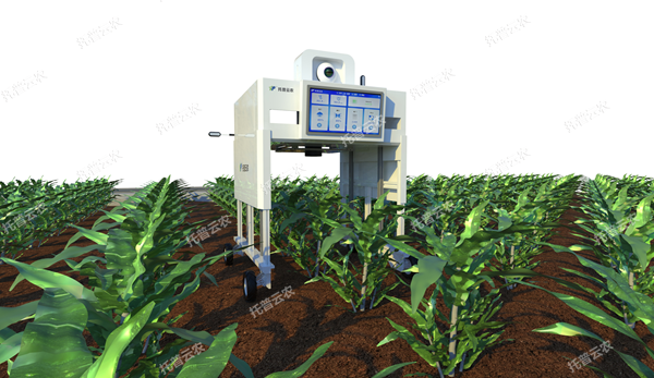 田間無人車式植物高通量表型采集分析平臺(tái)_600.png
